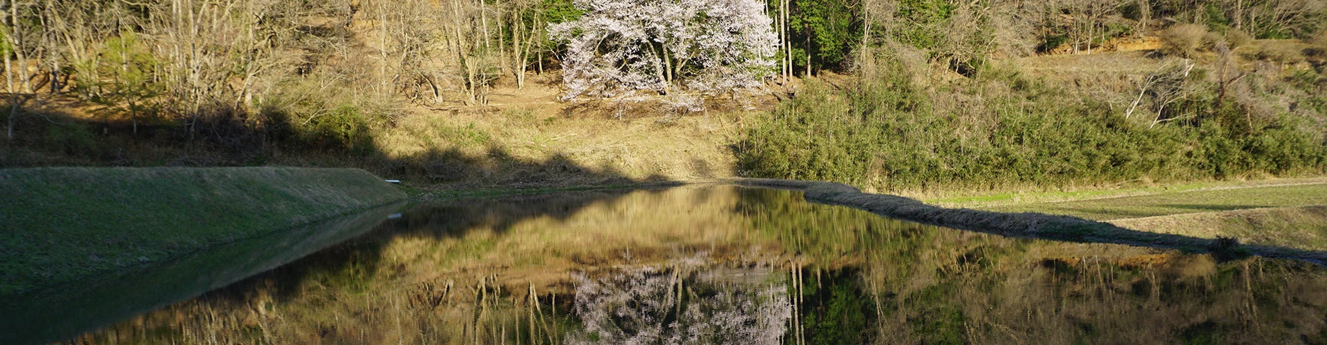 おいしい広島・安芸高田於手保の米