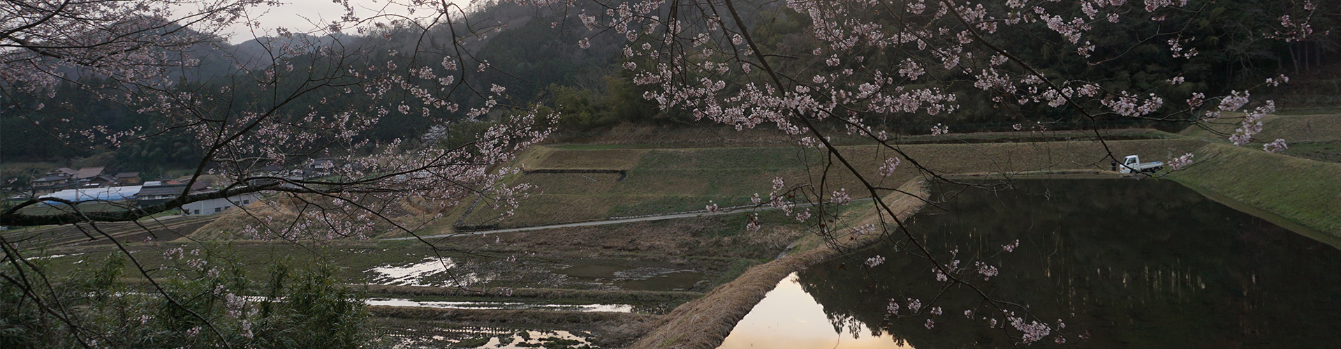 おいしい広島・安芸高田於手保の米